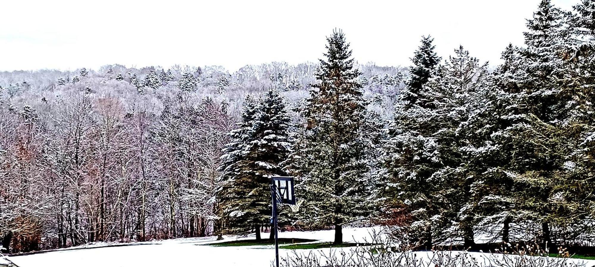 Escape To The Catskills ليبرتي المظهر الخارجي الصورة